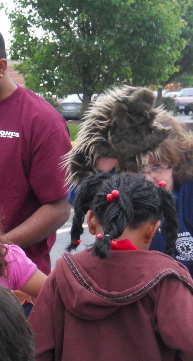 Spike, &quot;the Poison Prevention Porcupine' makes a guest appearance at Save Your Heart for Love

May 19, 2010